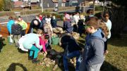 2017Kraeuterspirale (2)