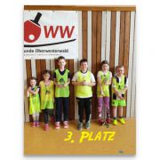 3.Platz