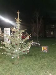 21Baum2