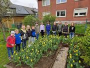 24Tulpe