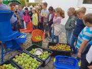 Apfelsaft 1