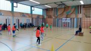 Voelkerball